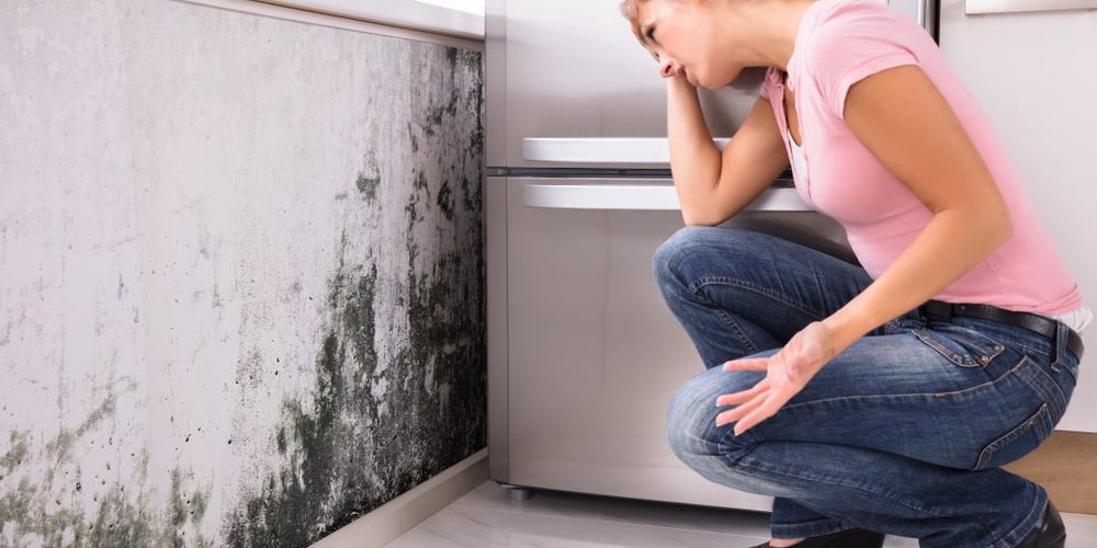 éliminer l’humidité de son logement